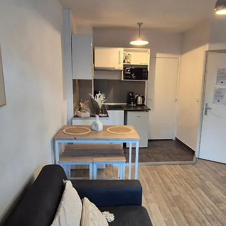 Apartment L'escapade-centre Ville-wifi-parking Lourdes
