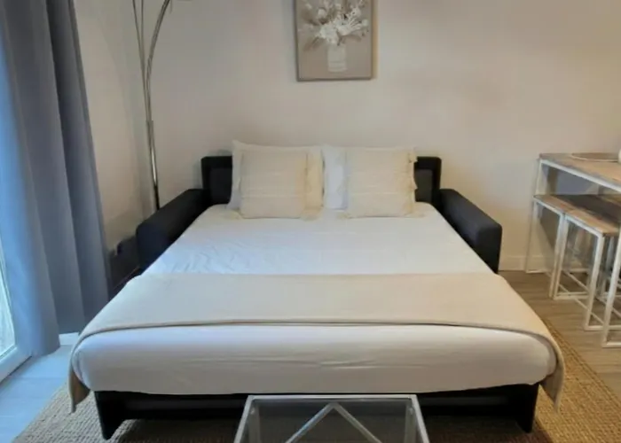 Apartment L'escapade-centre Ville-wifi-parking Lourdes