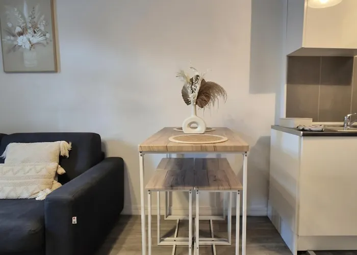 L'escapade-centre Ville-wifi-parking Apartment *